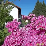 Dei Laghi